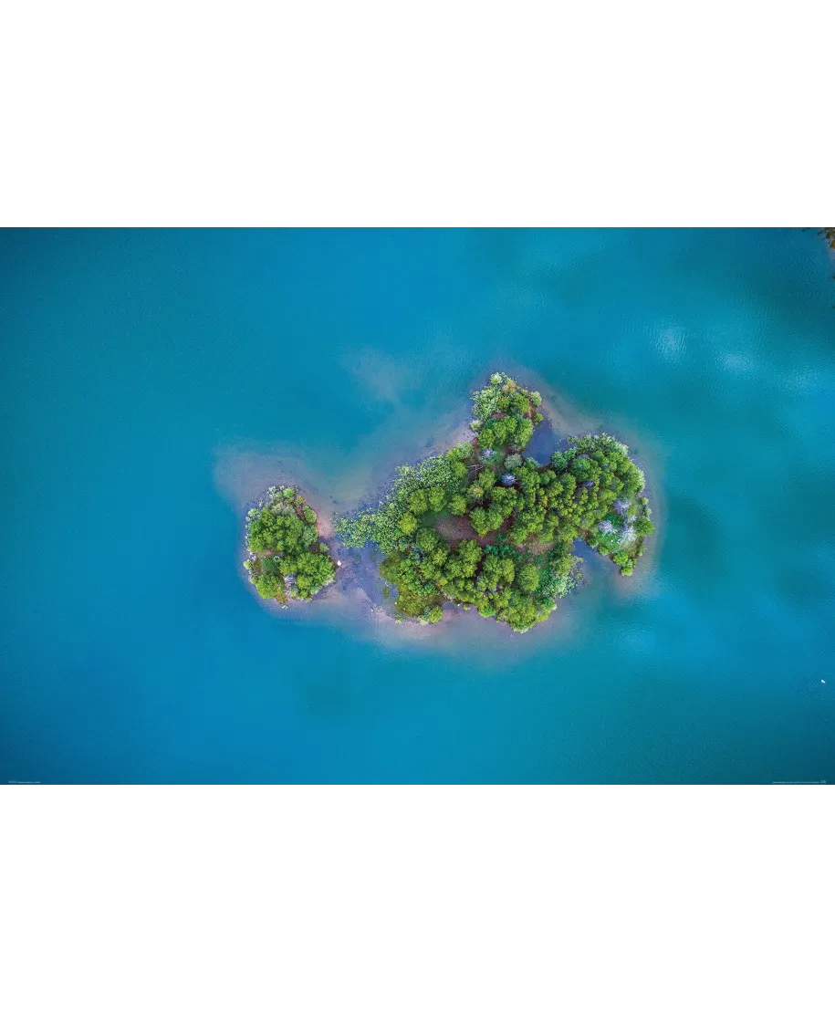 Zielona Wyspa - plakat