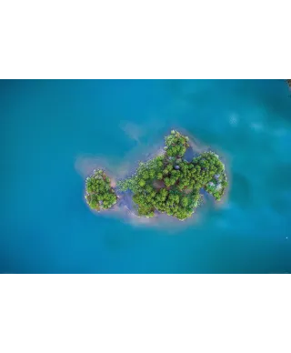 Zielona Wyspa - plakat