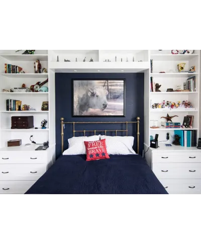 Biały Bawół - plakat