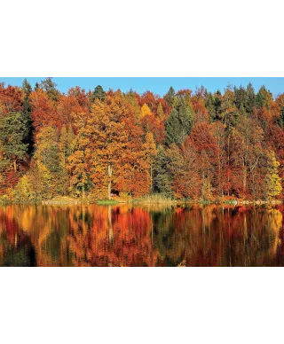 Jesień nad Jeziorem - plakat