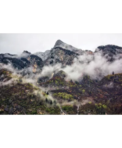 Hill Station - plakat