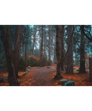 Jesienny Park - plakat