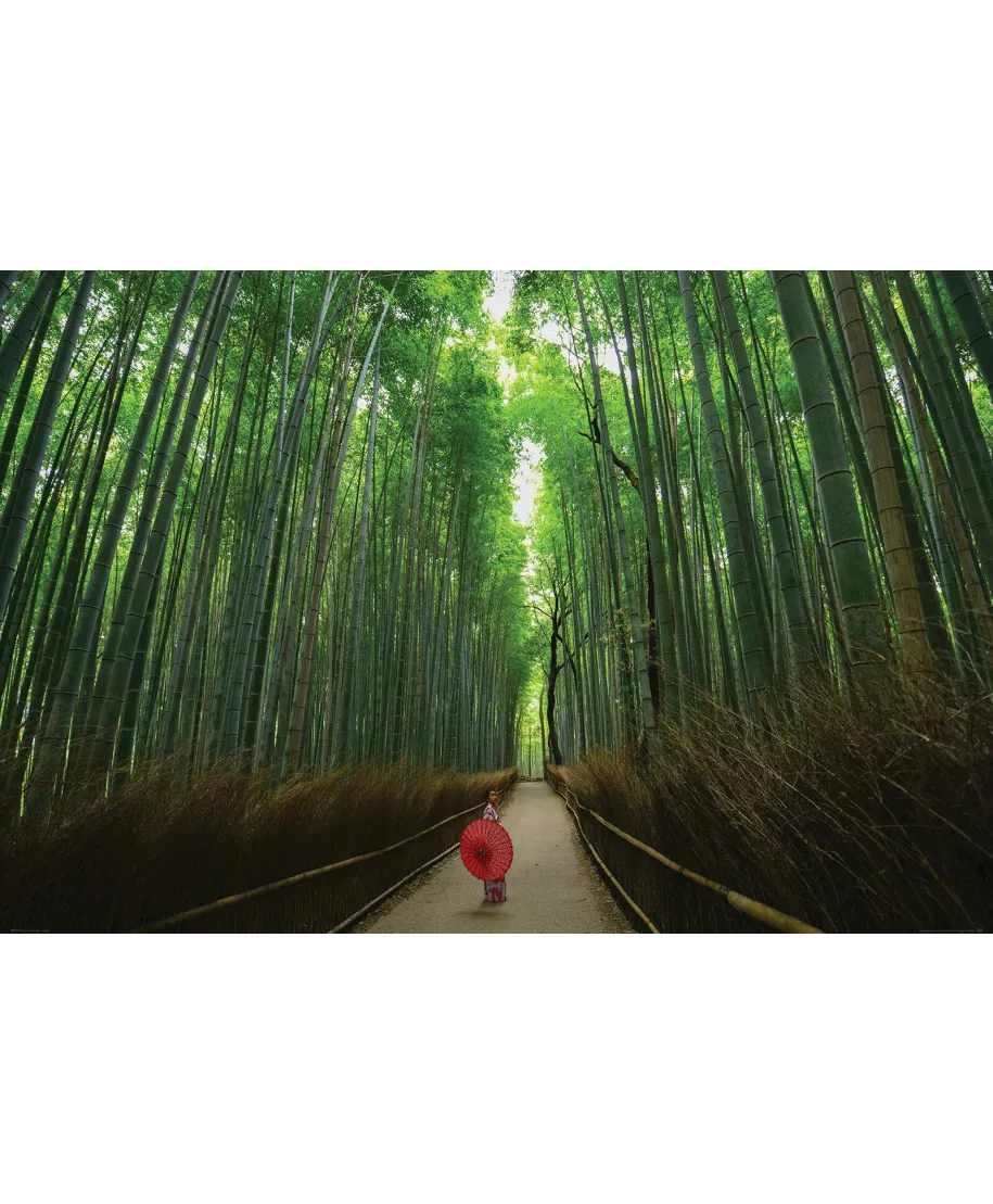 Bambusowy Las - plakat