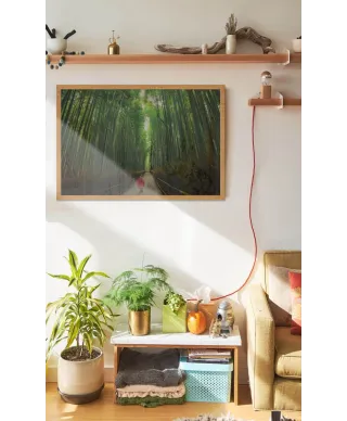 Bambusowy Las - plakat