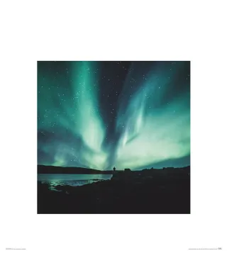 Aurora - reprodukcja