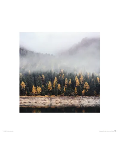 Mglista jesień - reprodukcja