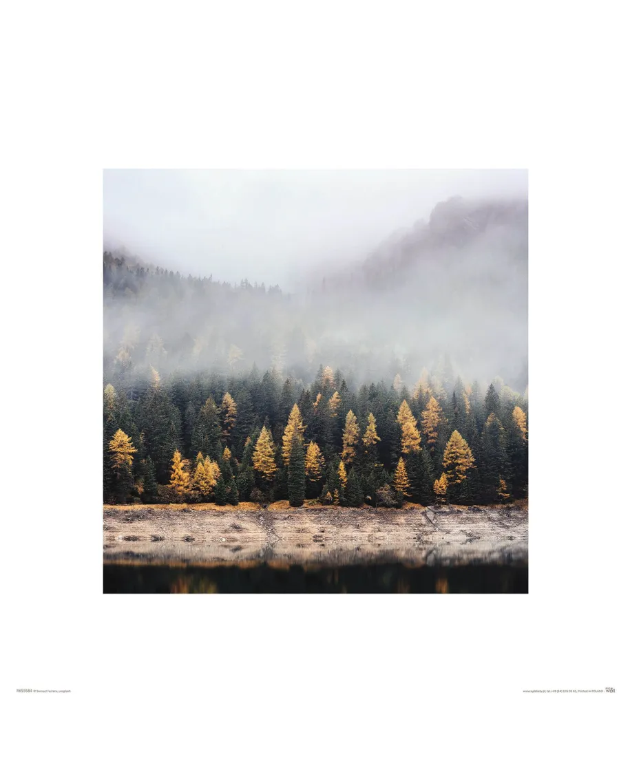 Mglista jesień - reprodukcja