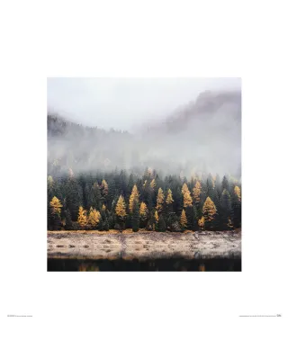 Mglista jesień - reprodukcja