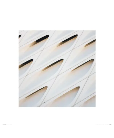 The Broad Museum - reprodukcja