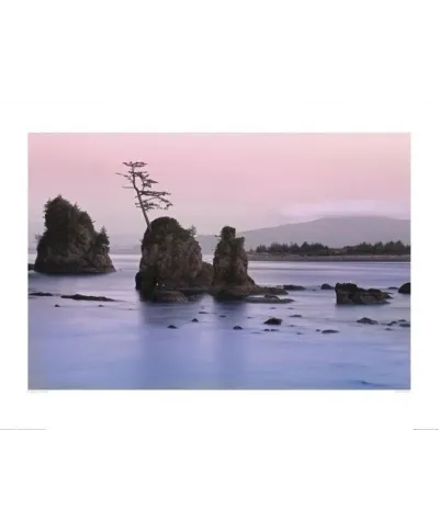 Skały na plaży - reprodukcja