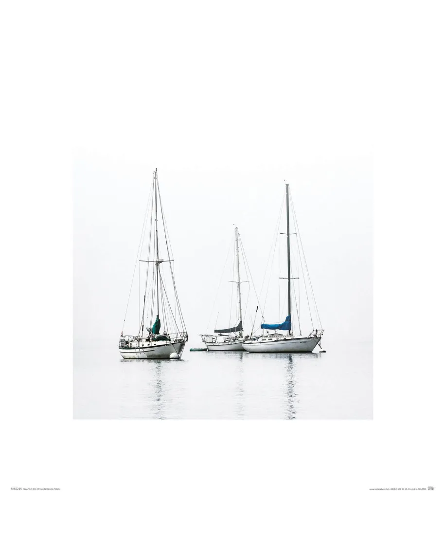 Łodzie - reprodukcja