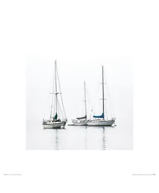 Łodzie - reprodukcja