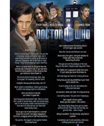 Doctor Who - Everything I Know? - plakat