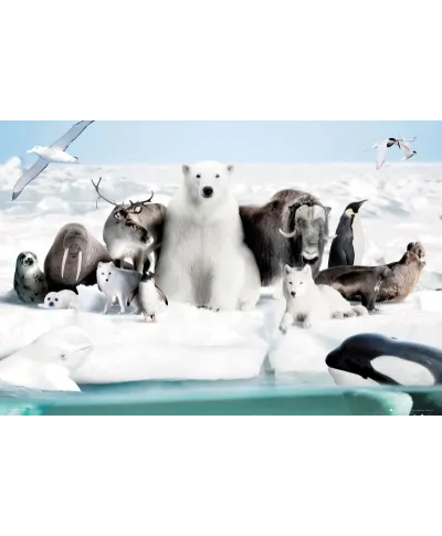 Frozen World - plakat