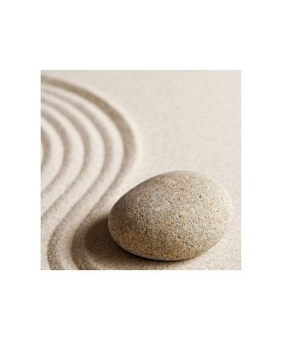 Kamień na piasku - reprodukcja