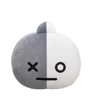 BT21 Van - poduszka