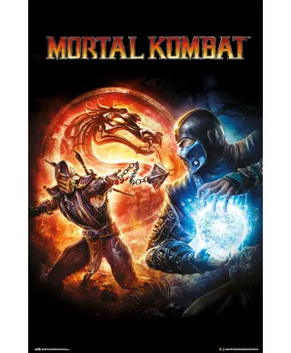 Mortal Kombat 9 Videogame - plakat