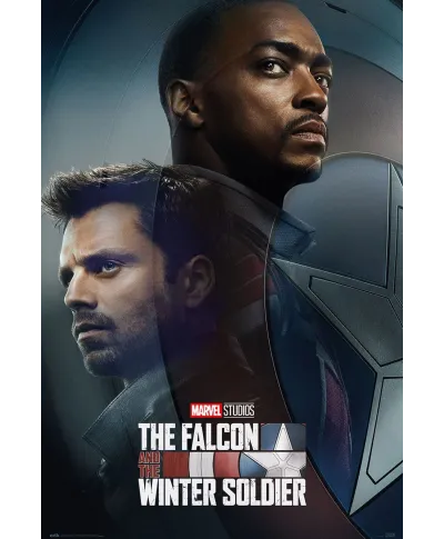 Marvel Falcon and Winter Soldier - plakat