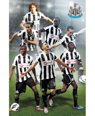 Newcastle United Players 12/13 - plakat