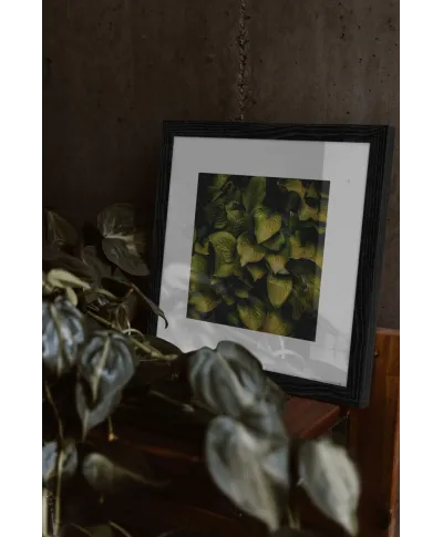 Zielone listki - reprodukcja