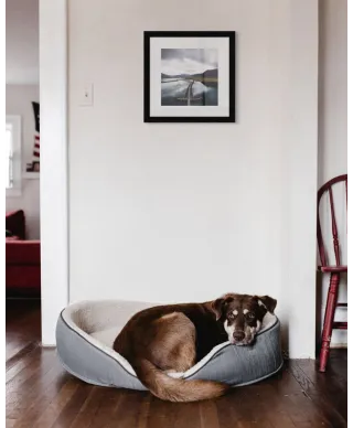 Półwysep Snaefellsnes - reprodukcja