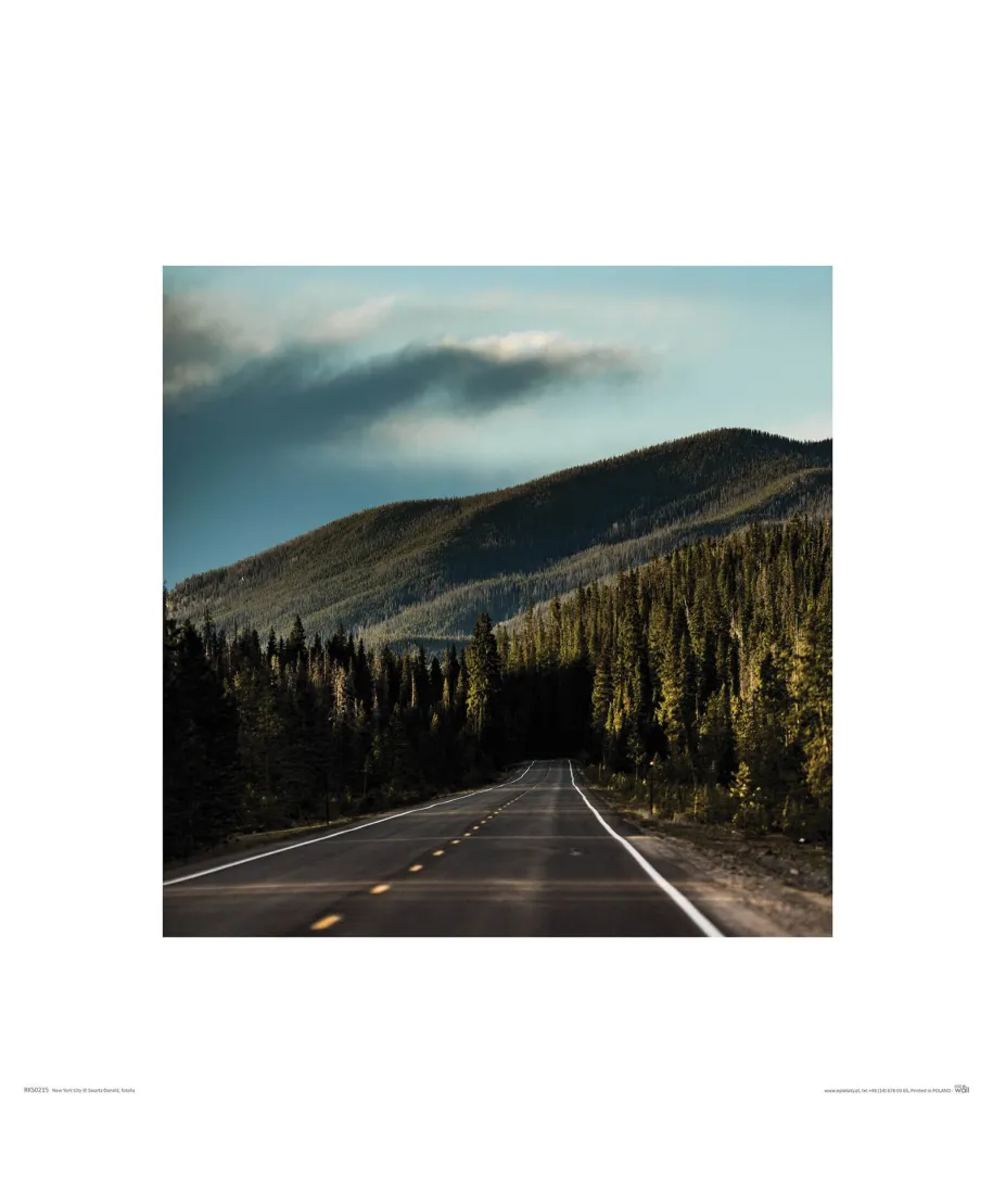Finding Nature - reprodukcja