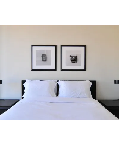 Maszyna do pisania - reprodukcja