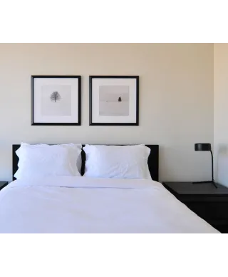 Samotne Drzewo - reprodukcja