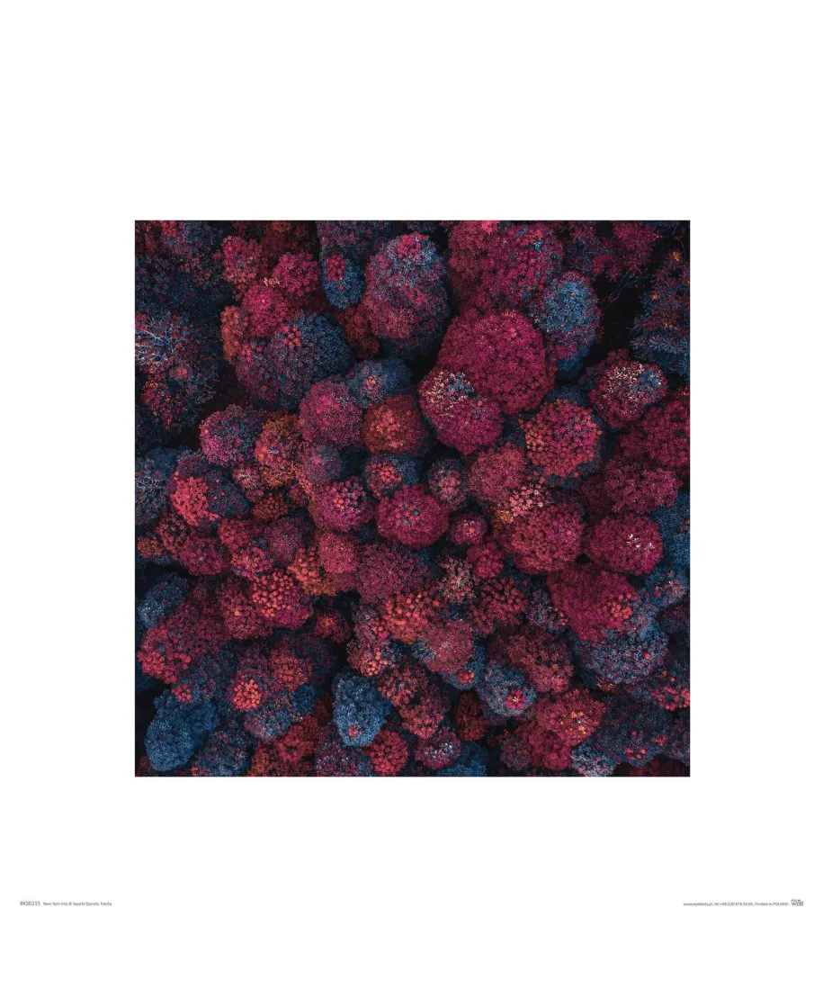 Barwy Jesieni - reprodukcja