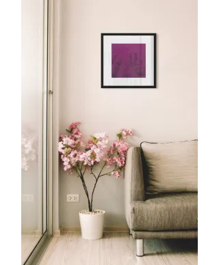 Lawendowa Polana - reprodukcja