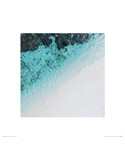 Idealna plaża - reprodukcja