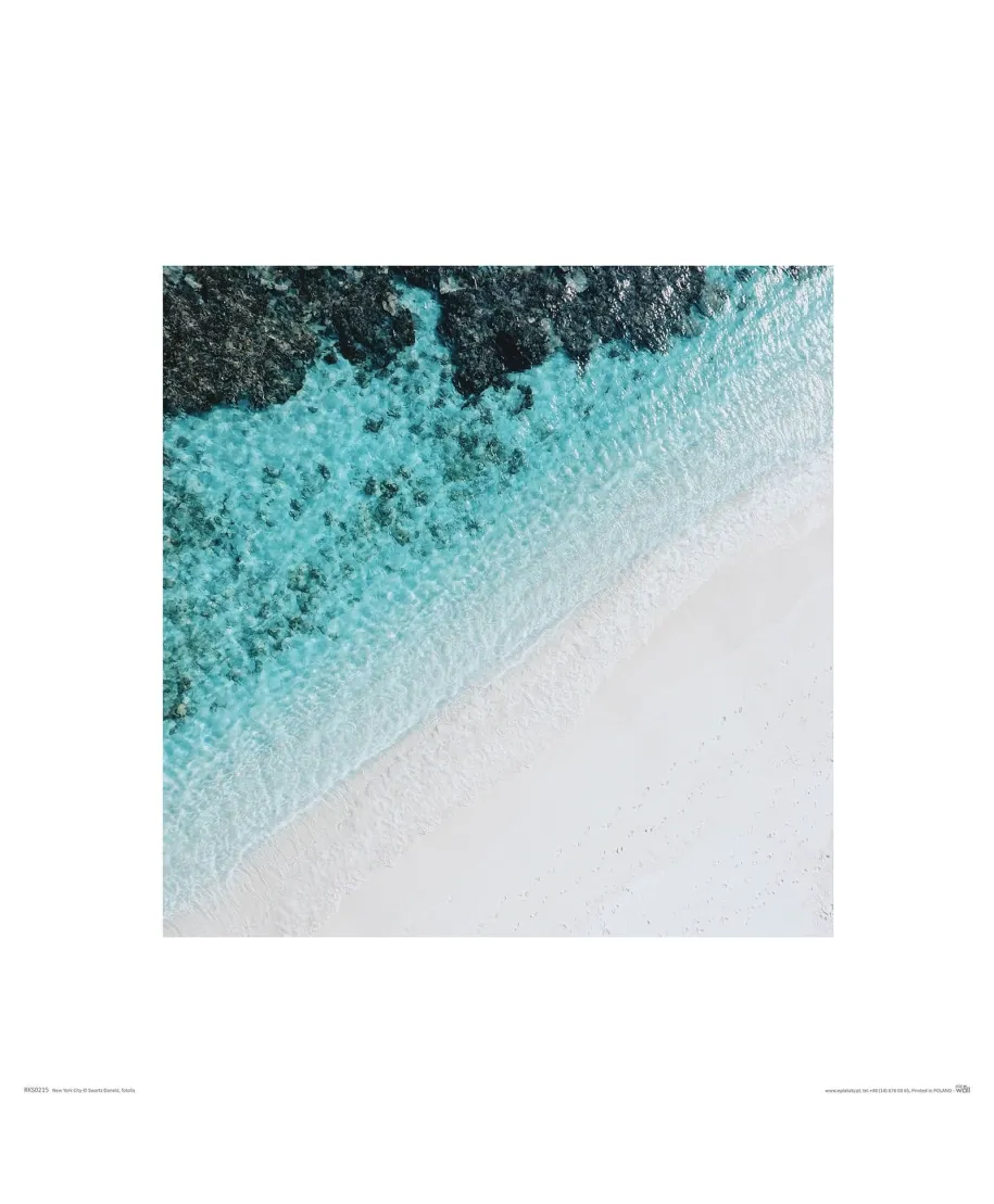 Idealna plaża - reprodukcja