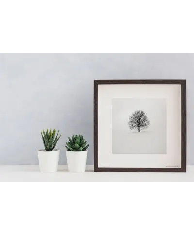 Zimowe drzewo - reprodukcja