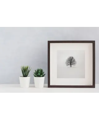 Zimowe drzewo - reprodukcja