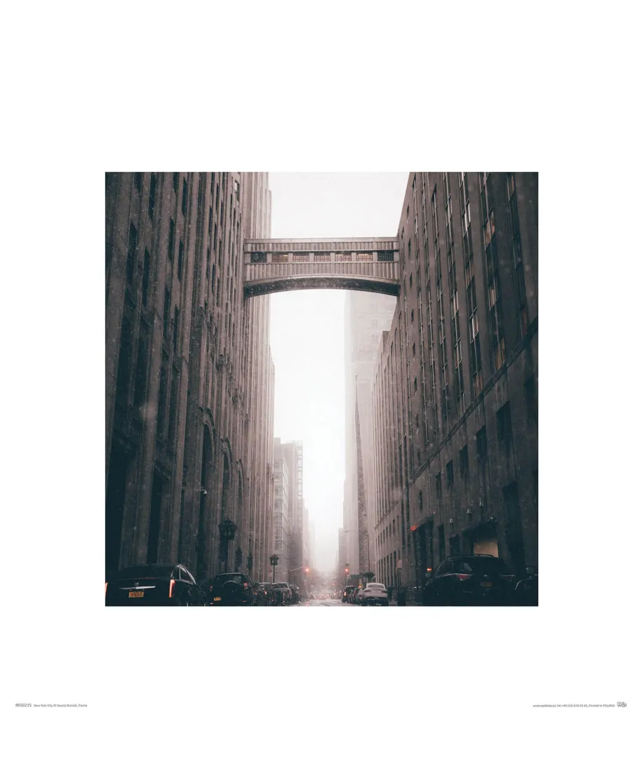 Snowbridge - reprodukcja