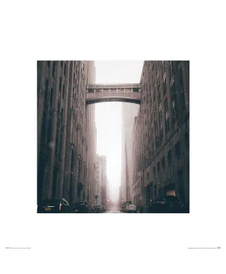 Snowbridge - reprodukcja