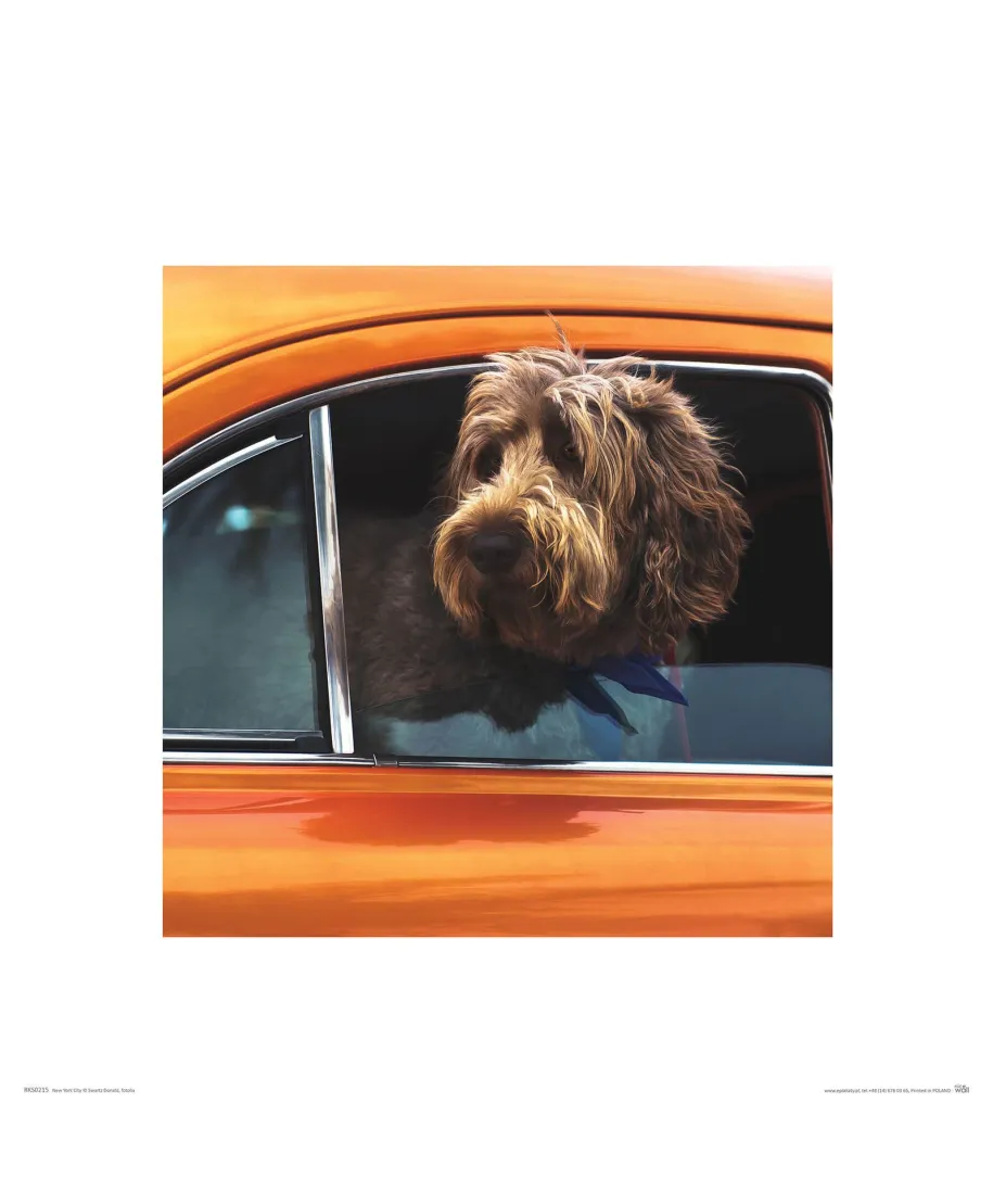 Pasażer - reprodukcja