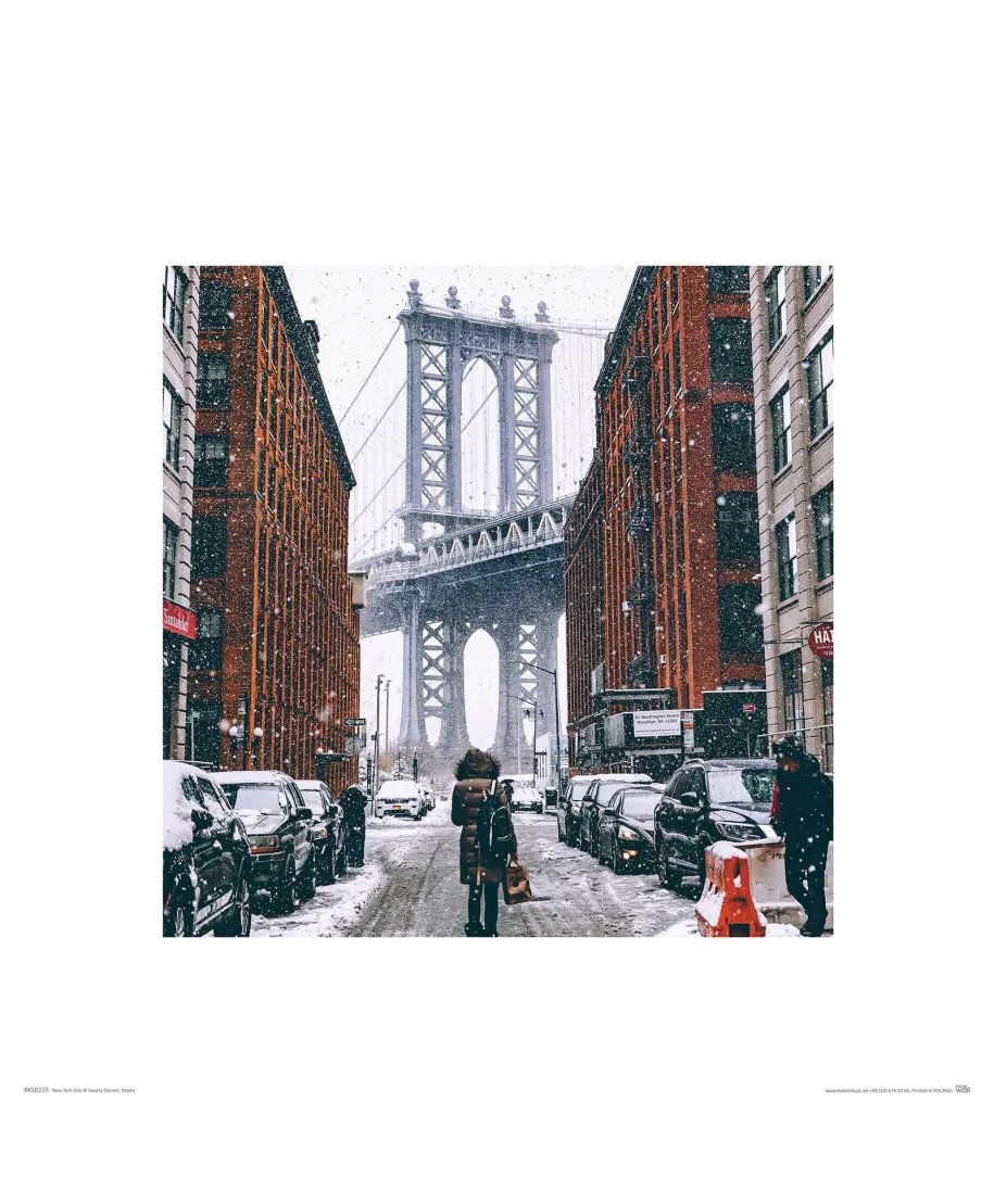 Zimowy Brooklyn - reprodukcja