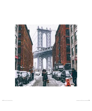 Zimowy Brooklyn - reprodukcja