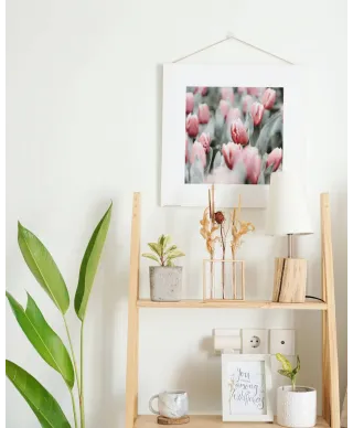 Różowe tulipany - reprodukcja