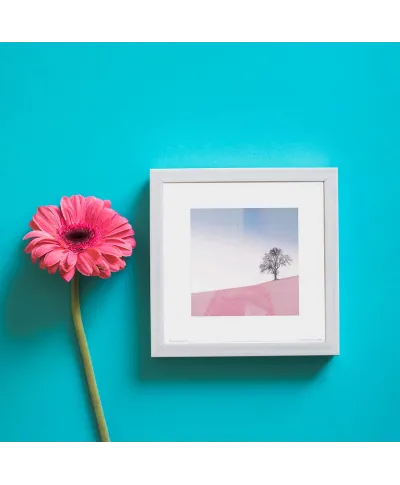 Pink Meadow - reprodukcja