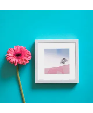 Pink Meadow - reprodukcja