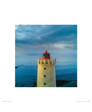 Latarnia morska - reprodukcja