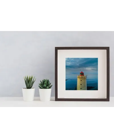 Latarnia morska - reprodukcja