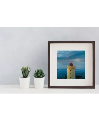 Latarnia morska - reprodukcja