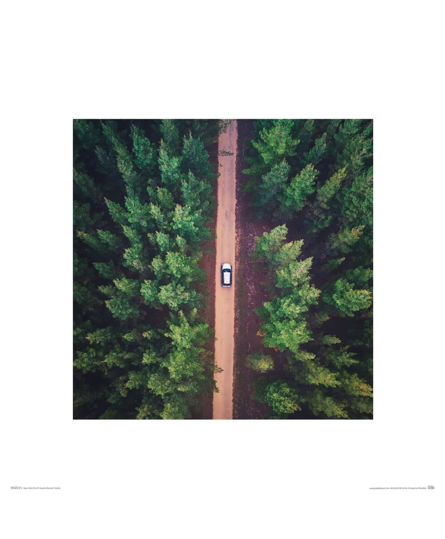 Leśna Droga - reprodukcja