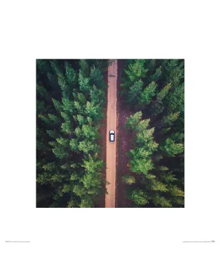 Leśna Droga - reprodukcja