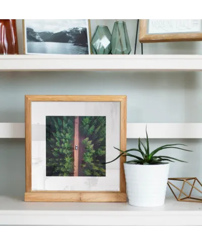 Leśna Droga - reprodukcja