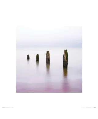 4 Sisters - reprodukcja