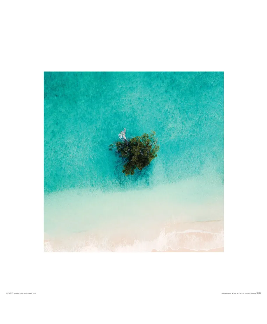 Drzewo na plaży - reprodukcja